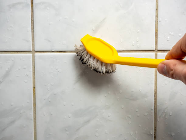 Certified Mold Removal in Cactus, TX