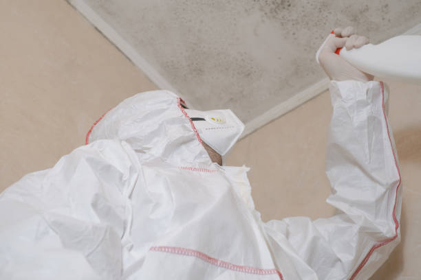 Best Professional Mold Removal  in Cactus, TX