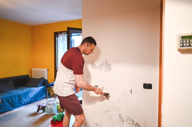 Best Mold Removal Company Near Me  in Cactus, TX