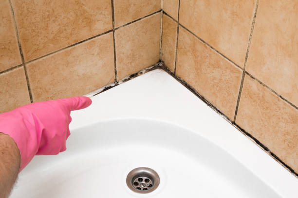 Best Mold Testing  in Cactus, TX